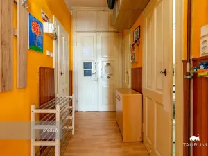 Prodej bytu 2+kk, Plzeň - Jižní Předměstí, Edvarda Beneše, 50 m2
