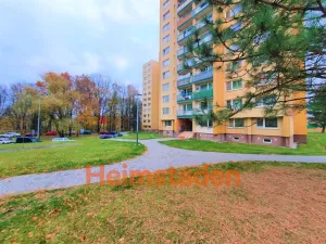 Pronájem bytu 1+kk, Ostrava - Zábřeh, Petruškova, 28 m2