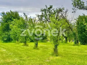 Prodej pozemku pro bydlení, Zlechov, 2143 m2