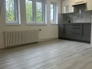 Pronájem bytu 1+kk, Praha - Strašnice, Královická, 32 m2