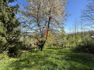 Pronájem chaty, Komorní Lhotka, 80 m2