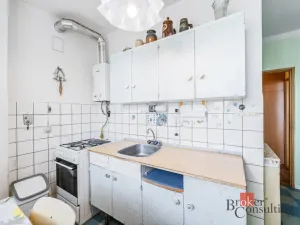 Prodej bytu 2+1, Plzeň - Východní Předměstí, Rychtaříkova, 48 m2