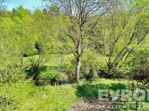 Prodej rodinného domu, Dubá - Nový Berštejn, Malý Mlýnek, 350 m2