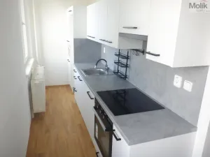 Prodej bytu 2+1, Chomutov, Bezručova, 59 m2