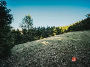 Prodej pozemku pro bydlení, Sušice, 1284 m2