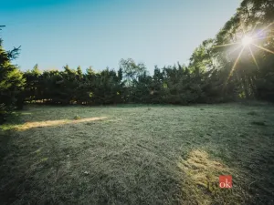 Prodej pozemku pro bydlení, Sušice, 1284 m2