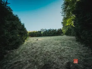 Prodej pozemku pro bydlení, Sušice, 1284 m2