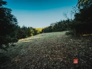 Prodej chaty, Sušice, 66 m2