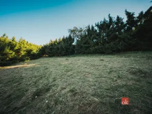Prodej chaty, Sušice, 66 m2
