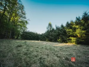 Prodej chaty, Sušice, 66 m2