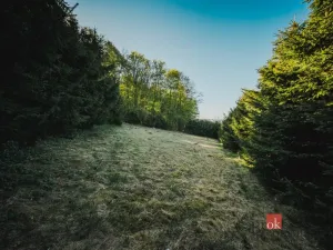 Prodej chaty, Sušice, 66 m2
