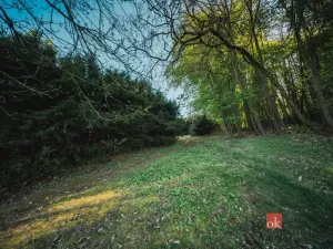 Prodej chaty, Sušice, 66 m2