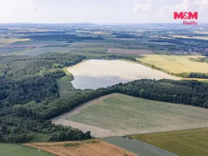Prodej lesa, Bohuslavice, 11971 m2