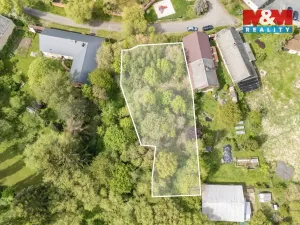 Prodej pozemku pro bydlení, Bor - Vysočany, 1458 m2