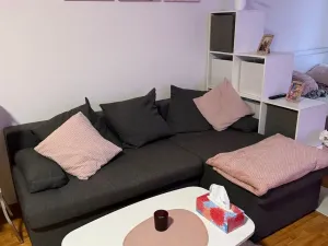 Pronájem bytu 1+kk, Liberec - Liberec II-Nové Město, Chrastavská, 38 m2