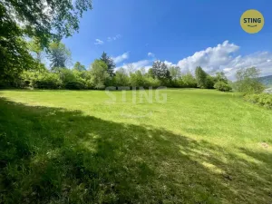 Prodej lesa, Městečko Trnávka - Pěčíkov, 16440 m2