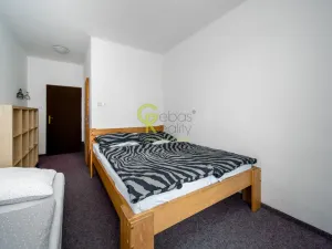 Prodej ubytování, Nové Hutě, 2776 m2