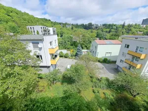 Prodej bytu 2+1, Brno, Plevova, 50 m2