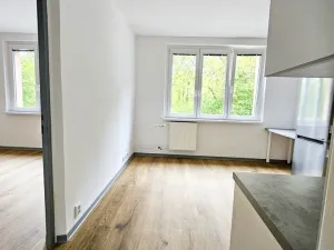 Pronájem bytu 1+1, Cheb, Do Zátiší, 33 m2