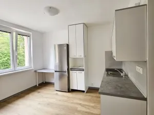 Pronájem bytu 1+1, Cheb, Do Zátiší, 33 m2