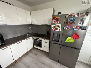Pronájem bytu 3+1, Most, Kpt. Jaroše, 63 m2