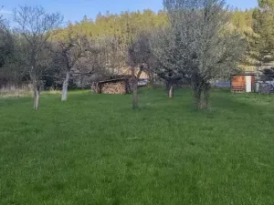 Prodej pozemku pro bydlení, Holštejn, 1229 m2