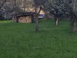 Prodej pozemku pro bydlení, Holštejn, 1229 m2