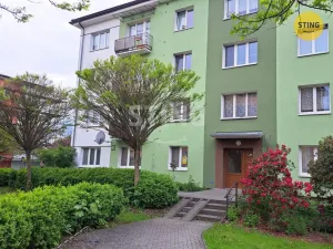 Pronájem bytu 2+1, Postřelmov, Nová, 49 m2
