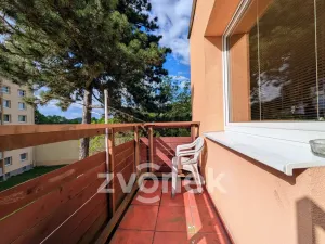 Prodej bytu 2+1, Frenštát pod Radhoštěm, Dolní, 63 m2