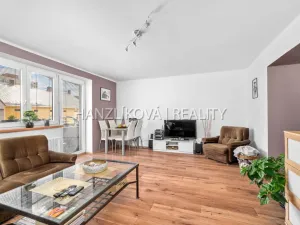 Prodej bytu 3+1, České Budějovice - České Budějovice 3, Nerudova, 80 m2