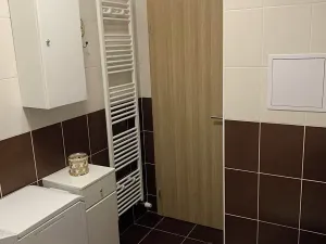 Pronájem bytu 1+kk, Kladno, Jaroslava Holečka, 34 m2