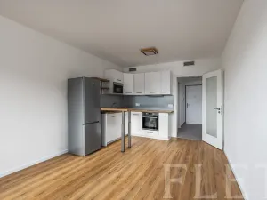 Pronájem bytu 1+kk, Praha - Vysočany, Smržových, 33 m2
