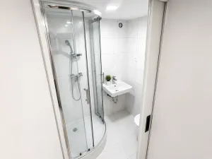 Pronájem bytu 1+kk, Praha - Vinohrady, Velehradská, 25 m2