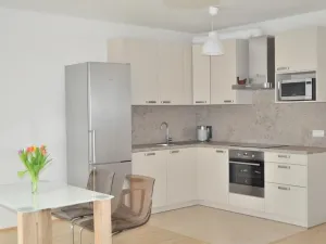 Pronájem bytu 1+kk, Praha - Žižkov, Olšanská, 40 m2