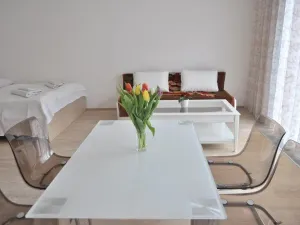 Pronájem bytu 1+kk, Praha - Žižkov, Olšanská, 40 m2