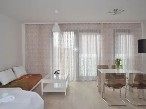 Pronájem bytu 1+kk, Praha - Žižkov, Olšanská, 40 m2