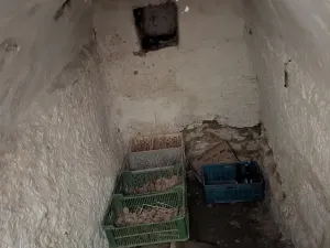 Prodej chalupy, Hrdlořezy, 80 m2