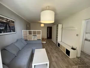 Pronájem bytu 1+1, Hodonín, Brandlova, 39 m2