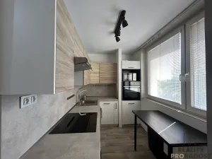 Pronájem bytu 1+1, Hodonín, Brandlova, 39 m2