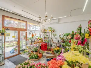 Prodej komerční nemovitosti, Orlová, Osvobození, 62 m2