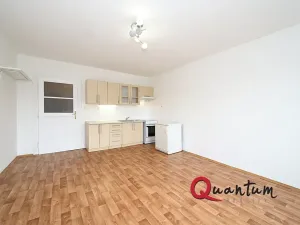 Pronájem bytu 1+kk, Praha - Vinohrady, Fričova, 31 m2