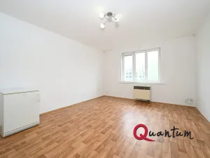 Pronájem bytu 1+kk, Praha - Vinohrady, Fričova, 31 m2