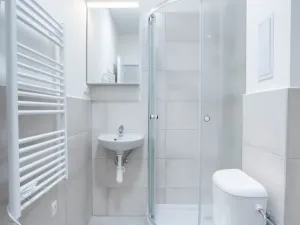 Pronájem bytu 1+kk, Ostrava - Přívoz, Palackého, 22 m2