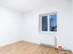 Pronájem bytu 1+kk, Ostrava - Přívoz, Palackého, 22 m2