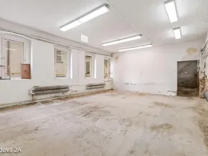 Pronájem komerční nemovitosti, Děčín, Rudolfova, 5199 m2