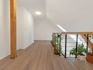 Prodej bytu 2+kk, Praha - Karlín, Peckova, 77 m2