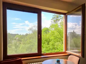 Prodej ubytování, Třinec, Husova, 360 m2