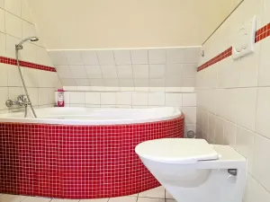 Prodej ubytování, Třinec, Husova, 360 m2