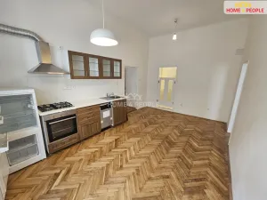 Pronájem bytu 2+1, Praha - Nové Město, Opatovická, 62 m2
