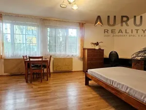 Pronájem bytu 1+kk, Praha - Radotín, Sobětická, 30 m2